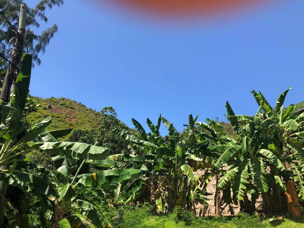 Mirella Villa Island Princess Villa Anse Volbert Village  Bagian luar foto