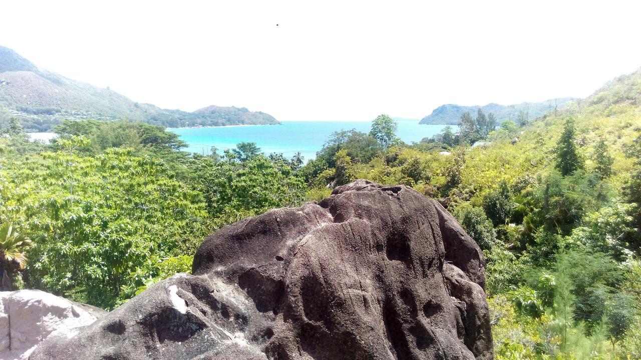 Mirella Villa Island Princess Villa Anse Volbert Village  Bagian luar foto